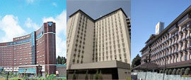 Other Hotels Near Narita Airport